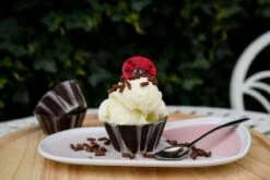 Eispulver Neutral 500g