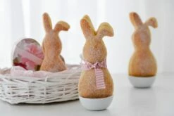 Hefe-Quarkteig 500 G, Lockerer, Saftiger Hefe-Quarkteig 5 Hefe-Quarkteig 500 G, Lockerer, Saftiger Hefe-Quarkteig -Nik Baker's Geschaft 0cd0f6e93e8e2e3bf85b247d2a3a378f