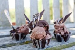 Eispulver Schokolade 50g