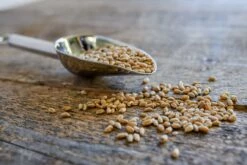 Dinkelkörner Spezialgereinigt 3kg