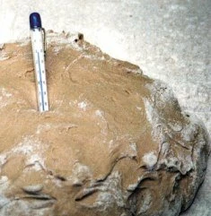 Roggenmehl Ganz Dunkel Type 1370 3kg