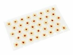 Schoko-Dekor: Blüte, Weiße Schokolade, 1 Folie/38 Stück á 25 X 14 Mm -Nik Baker's Geschaft b11431