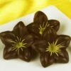 Schoko-Dekor: Blüte, Zartbitterschokolade, 1 Folie/38 Stück á 25 X 14 Mm -Nik Baker's Geschaft b11440