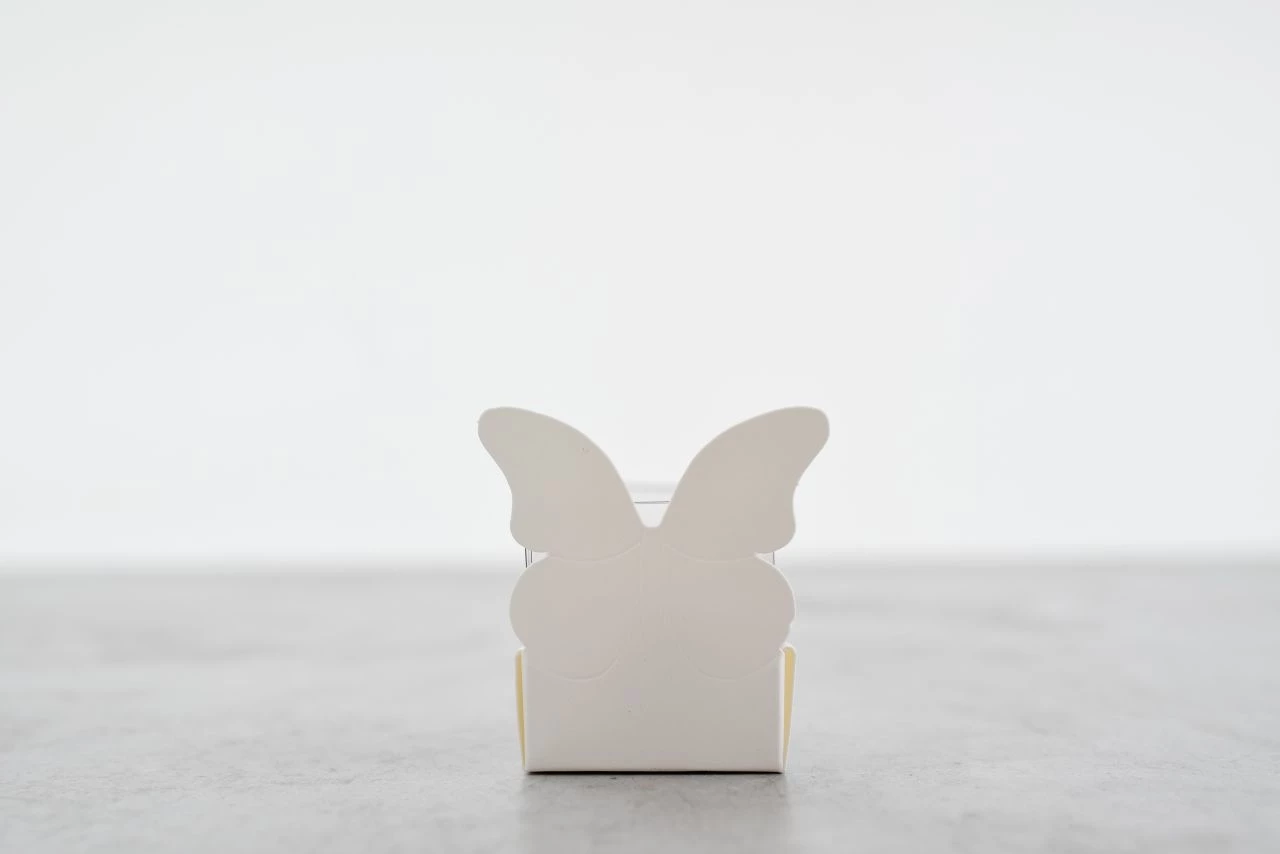 Geschenkbox Weiß Für Einen Macaron 4x4x6 Cm, 6 Stück 3 Geschenkbox Weiß Für Einen Macaron 4x4x6 Cm, 6 Stück