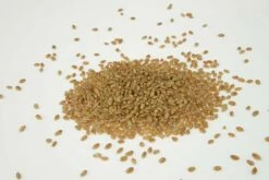 Nik Baker's Geschaft -Nik Baker's Geschaft c51072c576addf6c45d04be8d3767dad