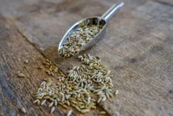 Roggenkörner Spezialgereinigt 1kg