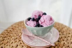 Eispulver Joghurt Heidelbeer 50g